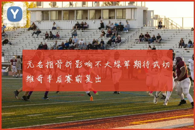 无名指骨折影响不大绿军期待武切维奇季后赛前复出