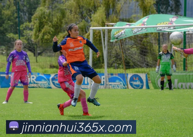 多媒体互动体验